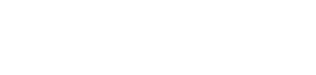 Annie 安妮中德咨询